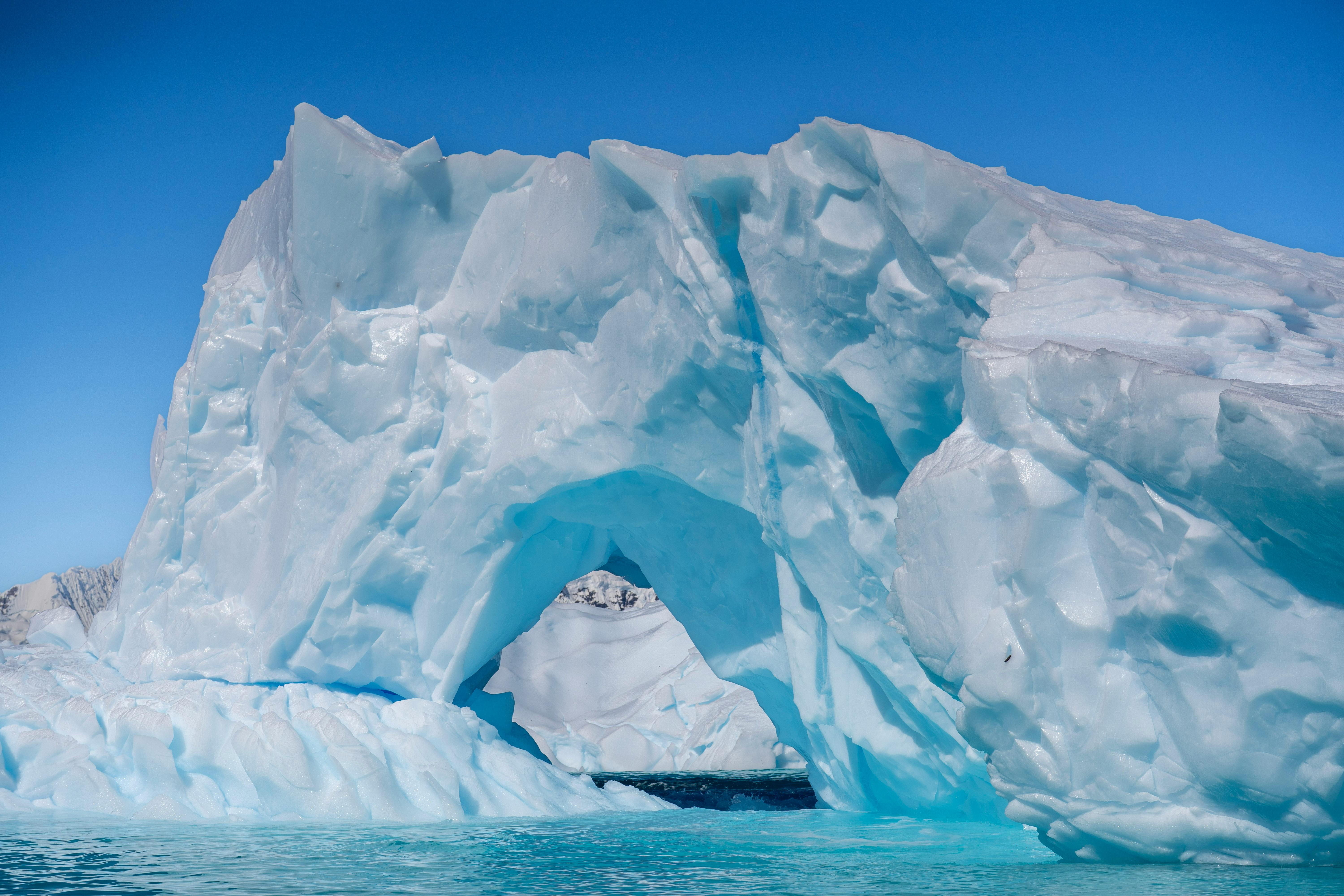 Iceberg and glacier scenery in Mikkelsen Harbour